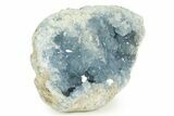 Sparkly, SKy-Blue Celestine (Celestite) Geode - Madagascar #344678-1